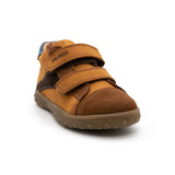 SNEAKERS PRIMIGI PDT 64092 MARRONE